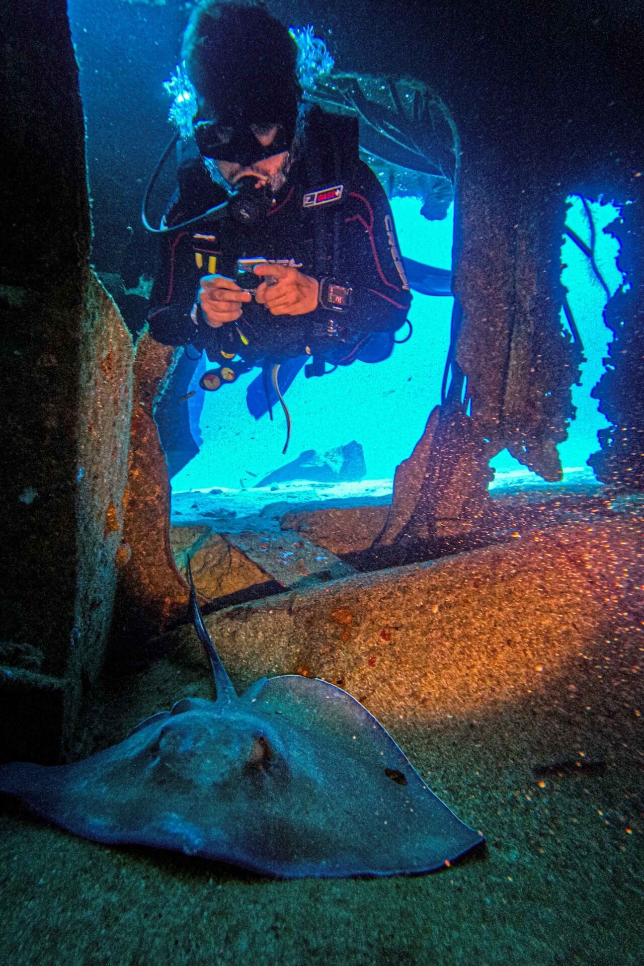 Wreck Dive Puerto Morelos - Only Bubbles