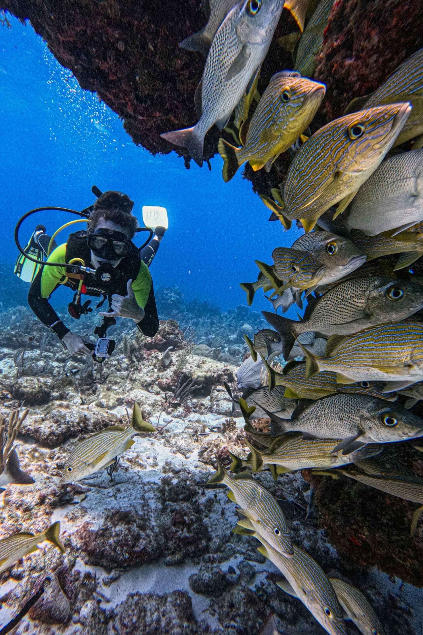 only-bubbles-scuba-diving-cancun-PADI-Advanced-open-water-2