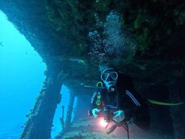 only bubbles scuba diving riviera maya activity testimonial